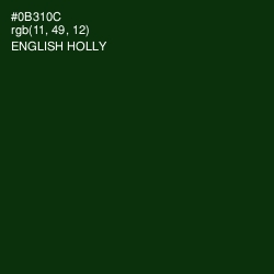 #0B310C - English Holly Color Image